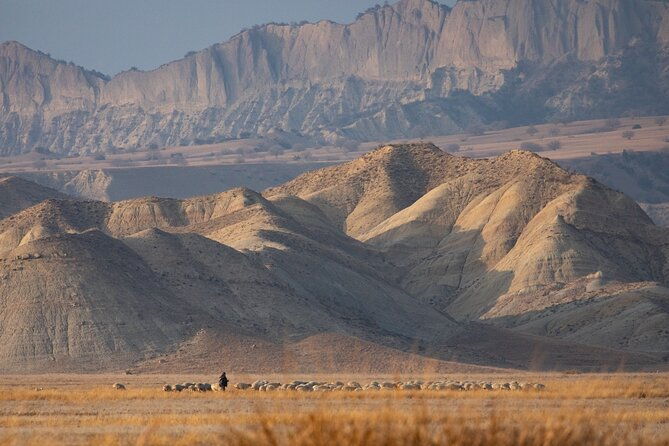 full-day-private-wilderness-tour-in-vashlovani-national-park