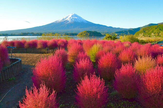 full-day-tour-to-mount-fuji-in-spanish
