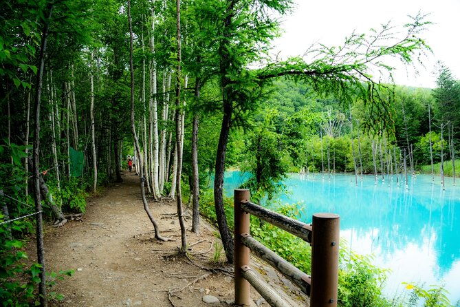 furano-biei-tour-sapporo-dep-english-speaking-driver-no-guide