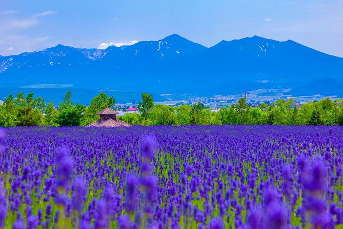 furano-private-customizable-full-day-tour