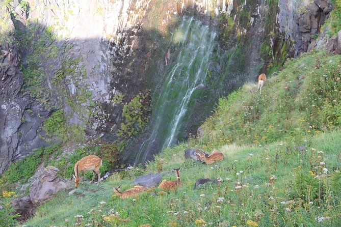 furepe-waterfall-nature-walk