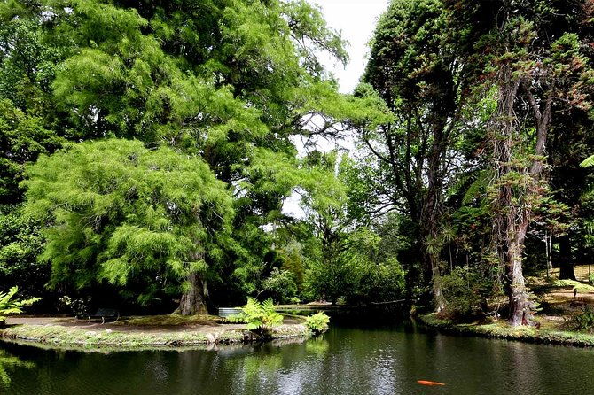 furnas-and-terra-nostra-botanic-park-guided-tour-w-hotsprings
