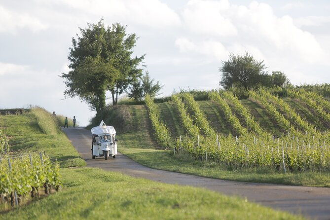 geneva-panoramic-tasting-vineyards-tour-in-an-tuk-tuk