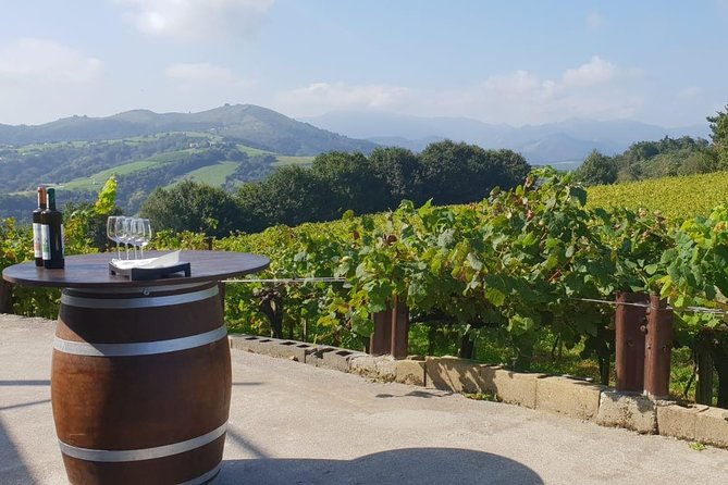 getaria-txakoli-wine-tour-with-hotel-pick-up-from-san-sebastian