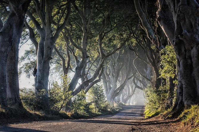 giants-causeway-and-more-including-titanic-experience-ticket-tour-from-belfast