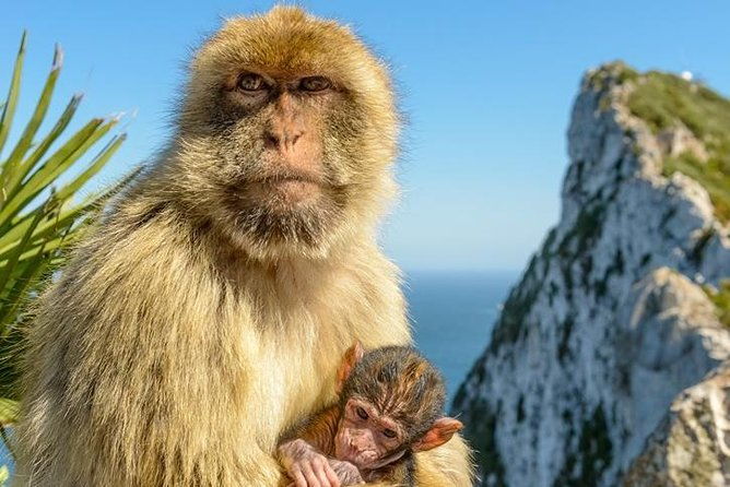 gibraltar-inside-out-extended-tour-2-30hrs