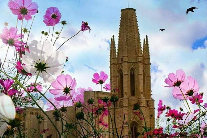 girona-guided-tour-with-cathedral-arab-baths-st-feliu-basilica
