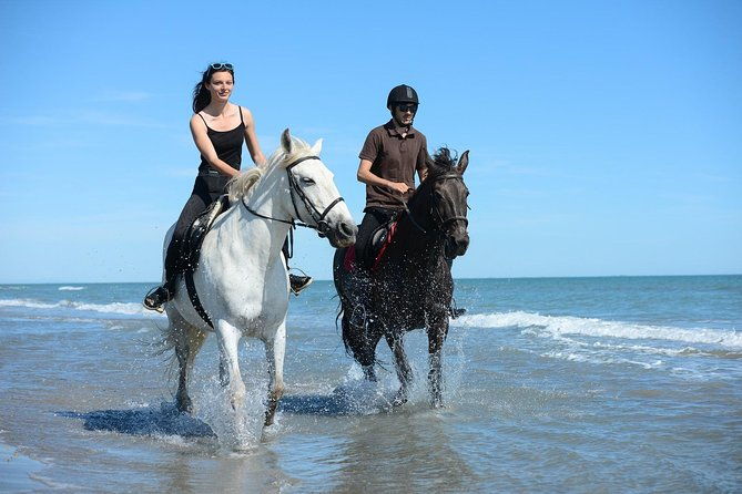 golden-hour-gallop-evening-ride-in-paros