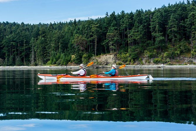 guided-kayak-tour-on-san-juan-island