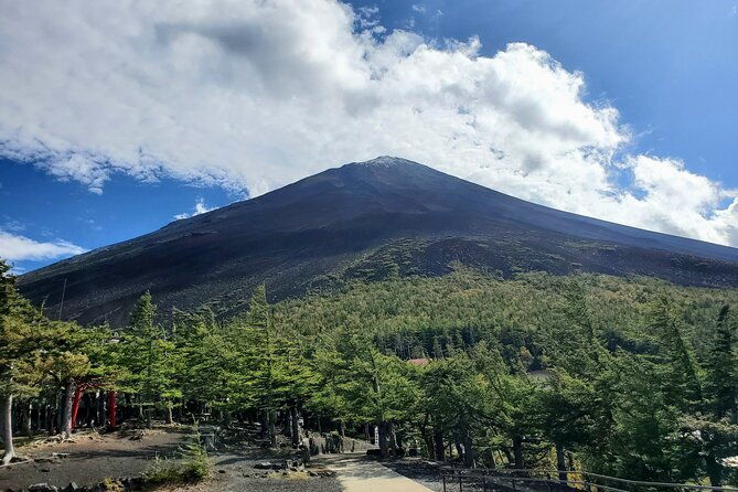 guided-shimizu-port-to-mt-fuji-private-tour-green-number-plates