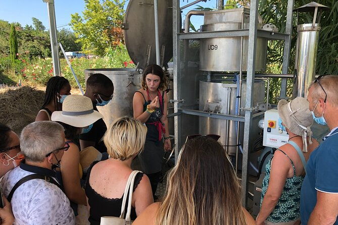 guided-tour-of-lavender-distillery-between-provence-camargue
