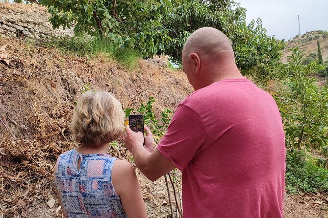 guided-tour-to-the-only-coffee-farm-in-europe