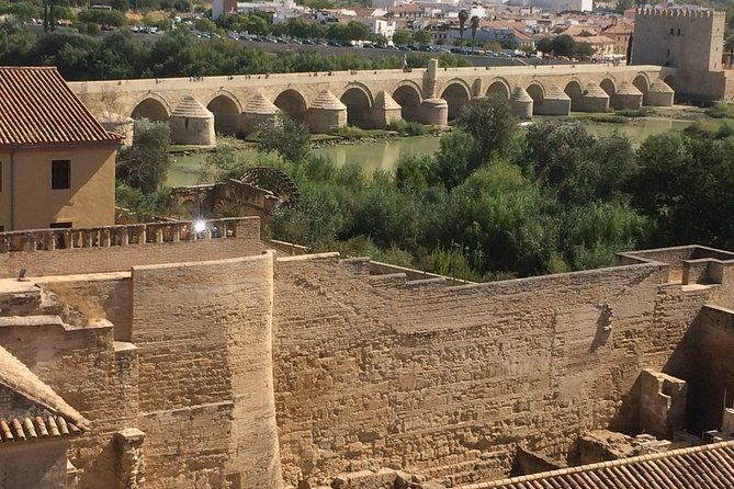 guided-visit-to-the-mosque-cathedral-jewish-quarter-alcazar-and-synagogue-official-guide