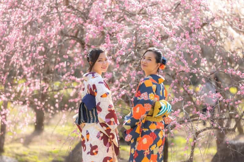 hagi-city%ef%bc%9akimono-experience-in-the-castle-town