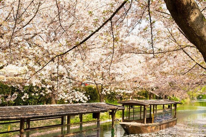 hakone-and-mt-fuji-day-trip-with-private-vehicle
