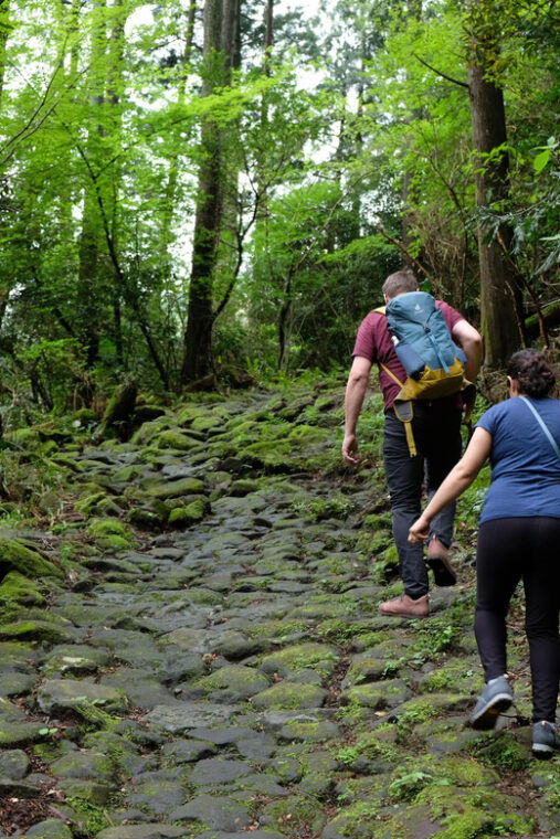 hakone-hachiri-old-tokaido-highway-hiking-half-day-tour