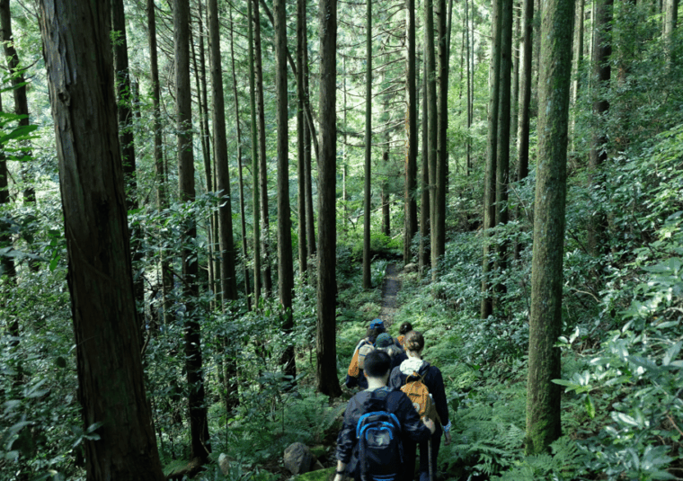 hakone-hachiri-old-tokaido-highway-hiking-tour