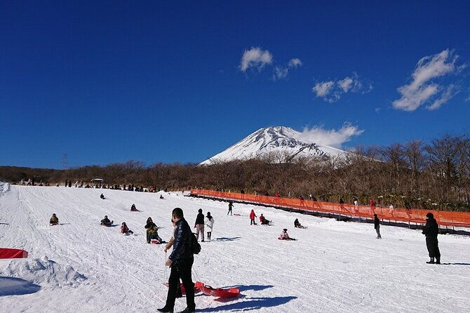 hakone-pirate-ship-owakudani-ropeway-fuji-2nd-station-snow-sledding-day-trip