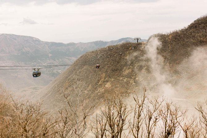 hakone-private-one-day-tour-from-tokyo-mt-fuji-lake-ashi-hakone-national-park