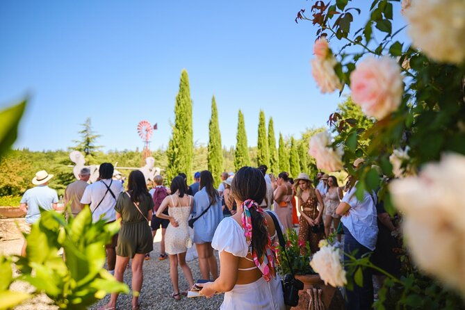 half-day-experience-to-san-gimignano-hills-with-picnic-and-wine