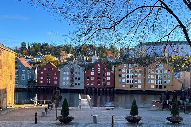half-day-highlights-of-trondheim-by-bus-and-city-walk