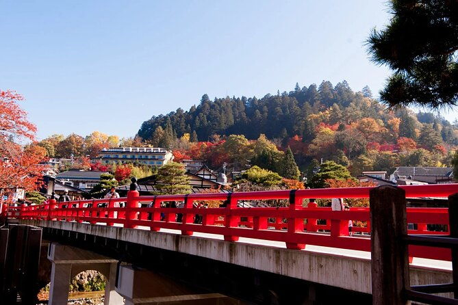 half-day-takayama-walking-tour-with-an-english-speaking-guide