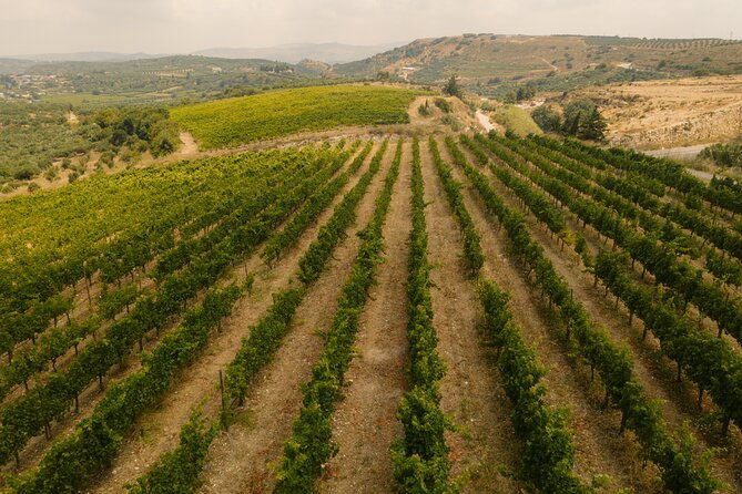 heraklion-private-half-day-gastronomy-diaries-experience-in-lyrarakis-winery