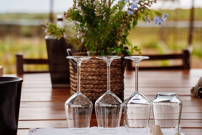 heraklion-private-half-day-wine-tasting-tour-in-lyrarakis-winery
