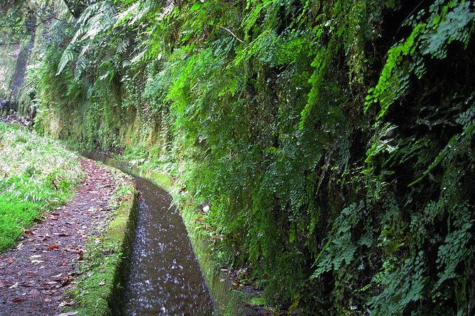 hidden-corners-levada-walk-from-funchal