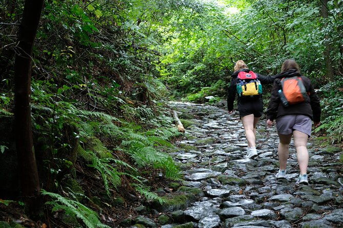 hike-japan-heritage-hakone-hachiri-half-day