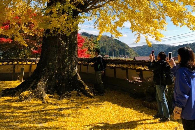 hiroshima-country-cycling-explore-rural-life-1-hr-from-the-city