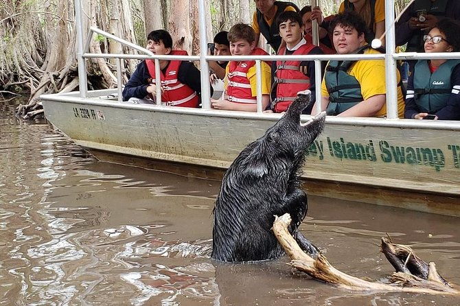 honey-island-swamp-boat-tour