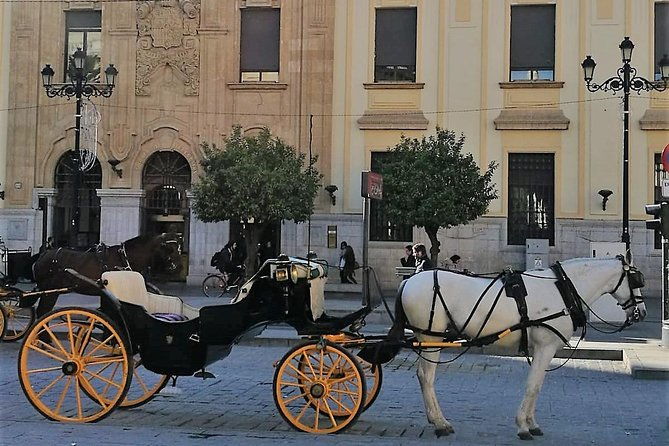 horse-drawn-carriage-ride-through-seville