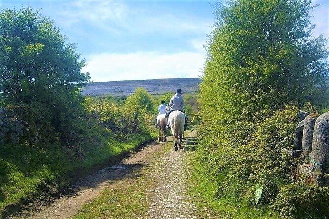 horse-riding-dirt-trek-trail-lisdoonvarna-clare-guided-1-hour
