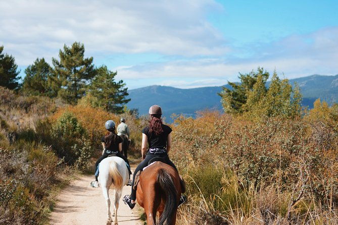 horse-riding-madrid-natural-park