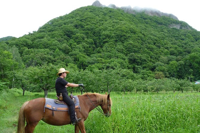 horseback-riding-in-a-country-side-in-sapporo-private-transfer-is-included
