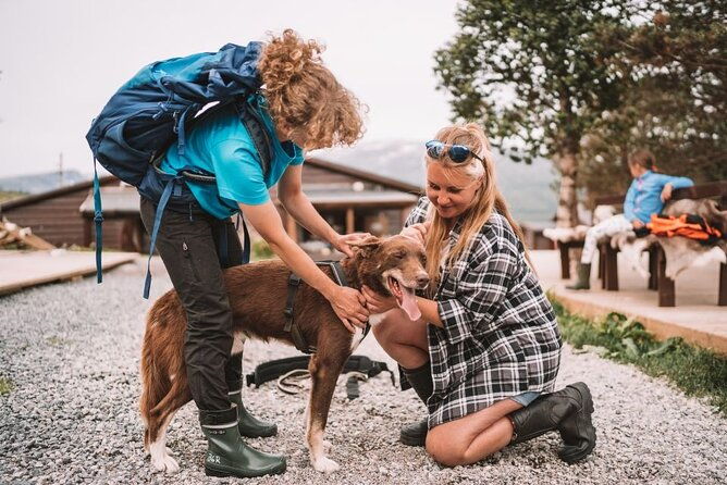 husky-hike-and-puppy-visit-with-lunch