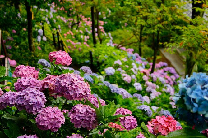 introducing-all-the-famous-spots-in-kamakura-and-enoshima
