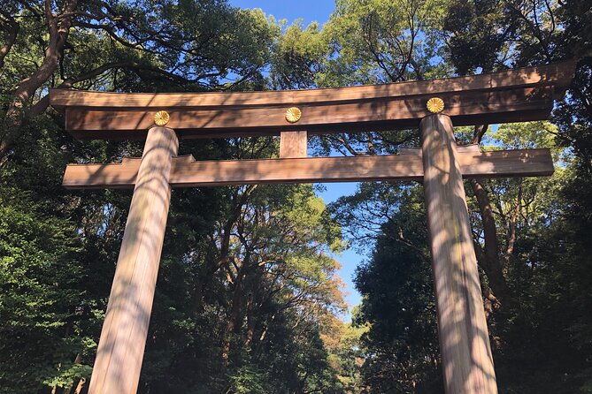 introductory-tokyo-tour-for-the-first-timers-learn-basic-travel-tips-and-tricks