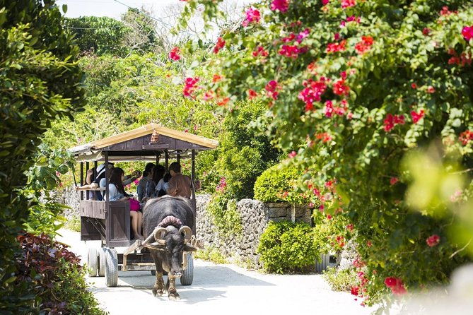 ishigaki-phantom-island-snorkeling-taketomi-island-sightseeing