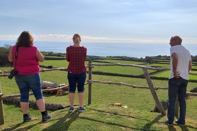island-van-tour-full-day-terceira-island