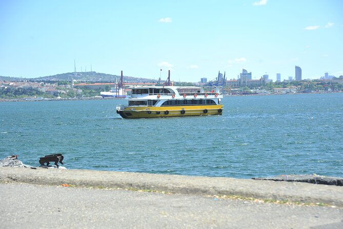 istanbul-bosphorus-and-golden-horn-cruise-with-audio-guide