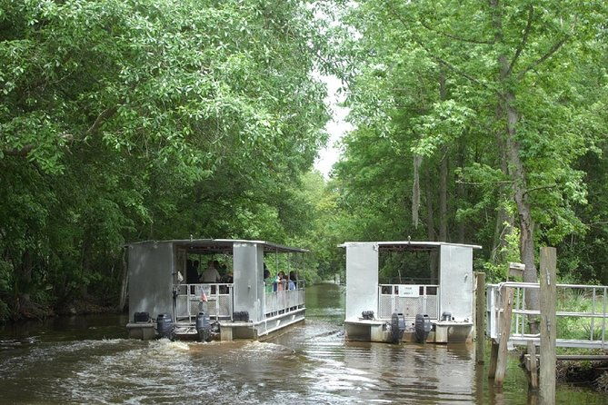 jean-lafitte-90-minute-swamp-and-bayou-boat-tour