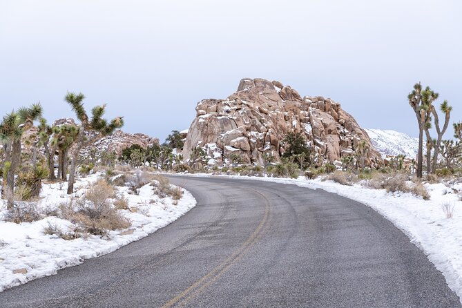 joshua-tree-national-park-self-guided-driving-audio-tour