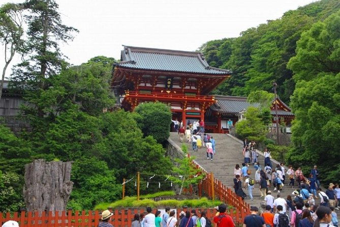 kamakura-bamboo-forest-and-great-buddha-private-tour