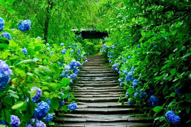 kamakura-private-custom-tour