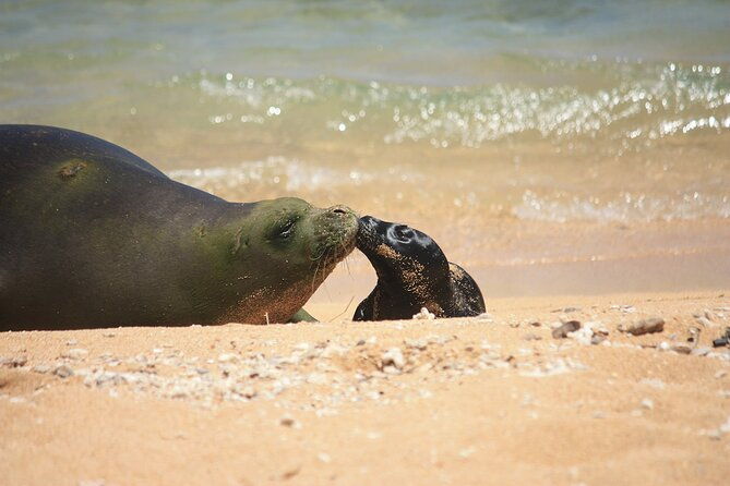 kauai-east-side-and-north-shore-private-guided-tour