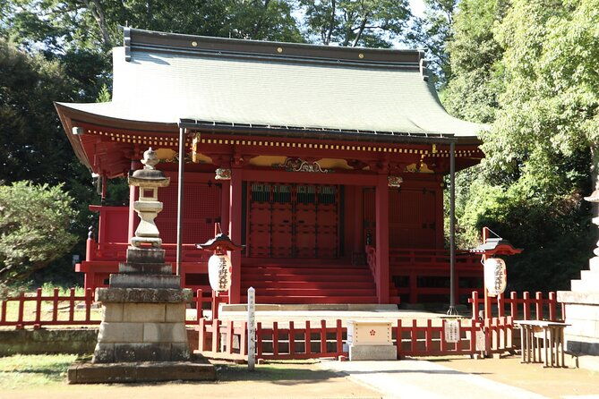 kawagoe-sightseeing-and-experience-tour-to-harvest-local-foods