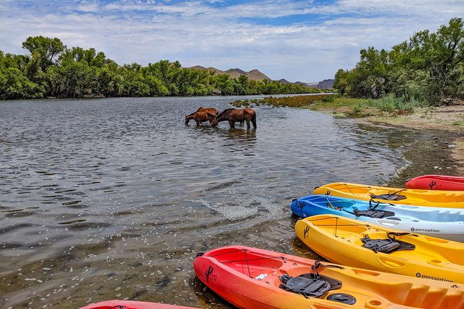 kayaking-the-salt-river-foxtail-trip