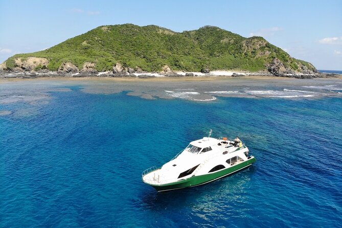 kerama-islands-experience-dive-snorkeling-whale-watching-service
